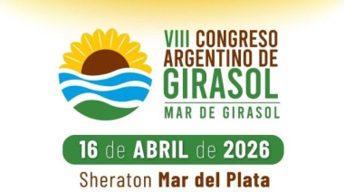 El girasol pide ser tratado como economía regional y eliminar retenciones para potenciar exportaciones