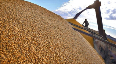 Paraguay embarcó 814.000 toneladas más de soja y sumó US$ 1.440 millones en divisas