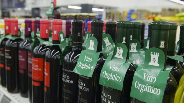 Exportaciones orgánicas argentinas cerraron 2025 con récord de 167.600 toneladas y crecimiento del 31%