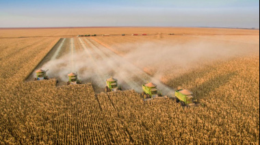 Brasil proyecta cosecha récord de soja de 179,2 Mt mientras Argentina enfrenta retrasos por lluvias y estima 48 Mt