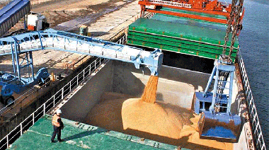 La agroindustria exportó US$ 12.218 millones en el primer trimestre de 2026, un 15,5% más que en igual período de 2025