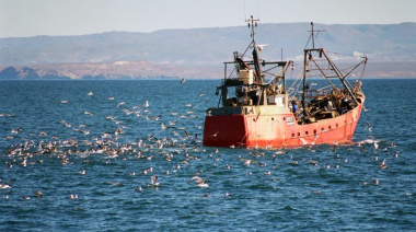 El sector pesquero argentino exportó US$ 667,8 millones en el primer trimestre de 2026