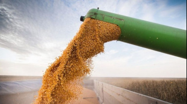 Argentina reglamentó el acceso a las cuotas arancelarias del Acuerdo Mercosur-UE para la agroindustria