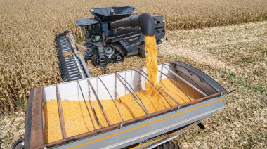 La cosecha de soja 2025/26 se estima en 48,6 millones de toneladas