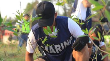 Lázaro Cárdenas impulsa reforestación con 6.000 mangles en su entorno portuario