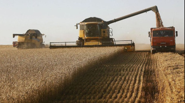El complejo agroexportador liquidó más de US$ 2.400 millones en abril