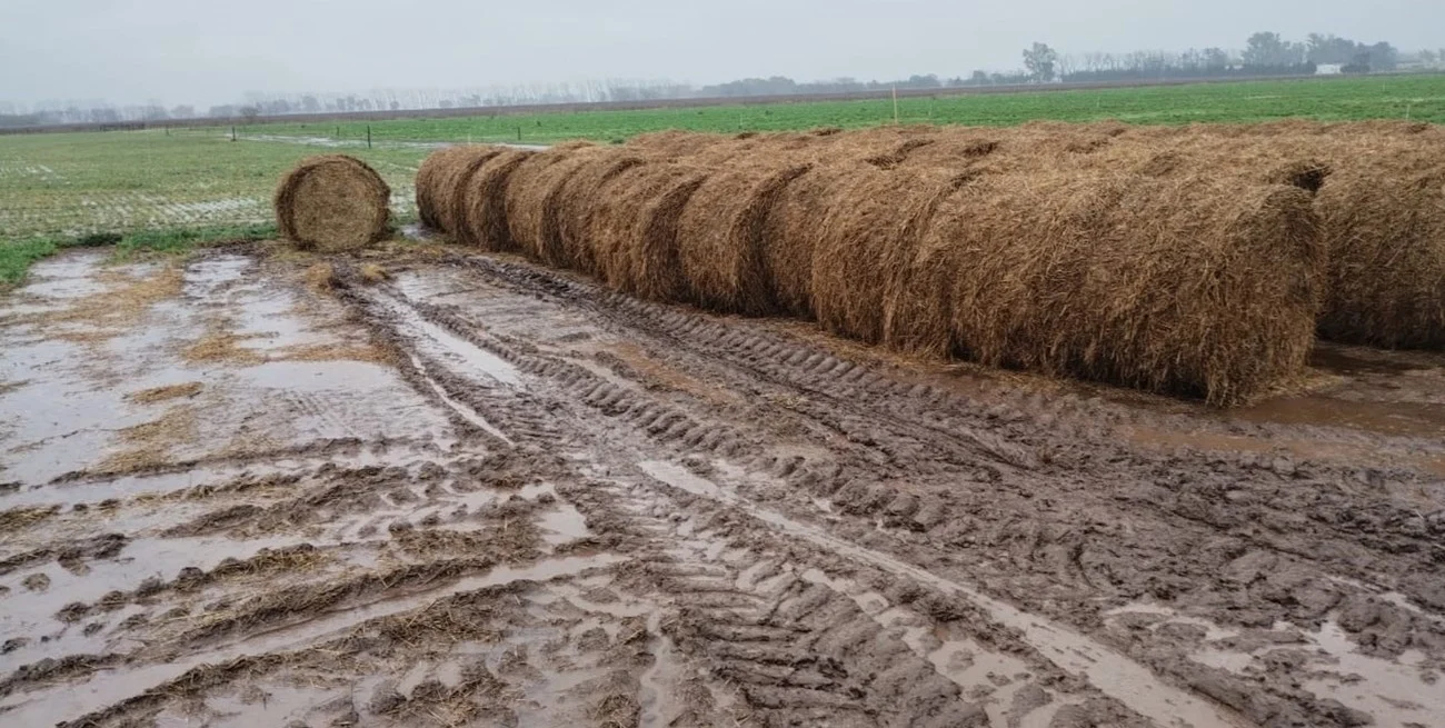 Heladas, ascenso térmico y lluvias desiguales: el panorama agroclimático para las próximas dos semanas en el área agrícola