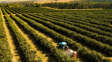 La cadena granaria demandará un récord de 2.533 millones de litros de gasoil en la campaña 2025/26