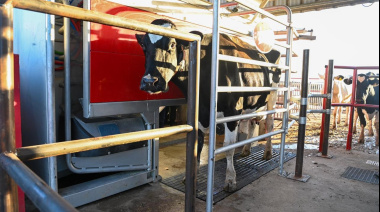 Dos tambos cordobeses se reconvirtieron con tecnología de punta mediante financiamiento del BICE