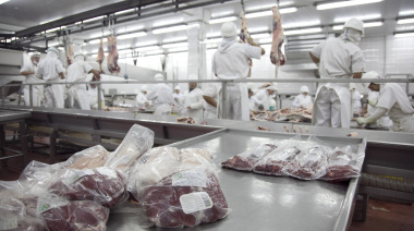 Las exportaciones de carne bovina crecieron 53,95% en valor en el primer trimestre de 2026 y superaron los USD 1.000 millones