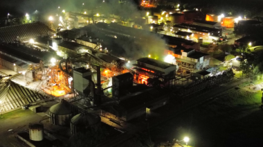 Un incendio en la planta de Ricardone de Nueva Vicentin Argentina causó graves daños y suspendió la recepción de girasol