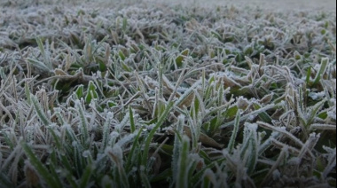 Heladas generales en el oeste agrícola y lluvias escasas en la mayor parte del territorio: el panorama climático para las próximas dos semanas
