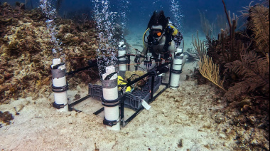 Jan De Nul comenzó a construir una granja de restauración de arrecifes de coral en Maldivas con capacidad para producir más de 15.000 corales en dos años
