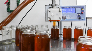 Las exportaciones de miel alcanzaron en el primer trimestre de 2026 el récord de los últimos 20 años en valor y volumen