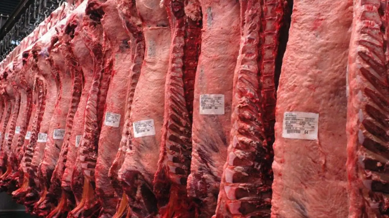 La faena vacuna cayó 15,3% interanual en abril y las exportaciones superaron los 1.000 millones de dólares en el primer trimestre