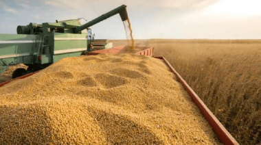 Paraguay exportó 3,9 millones de toneladas de soja en los primeros cuatro meses de 2026
