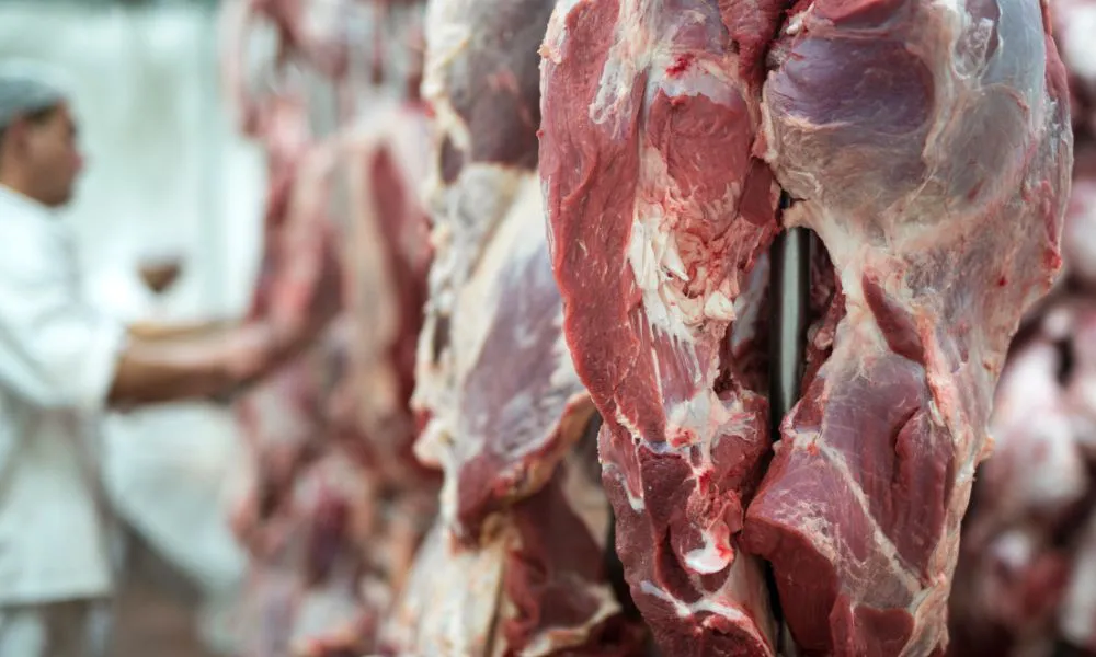 La Secretaría de Agricultura, Ganaderia y Pesca abrió la inscripción para la Cuota Hilton 2026/2027
