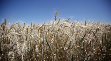 Argentina bate un nuevo récord histórico agroindustrial con el mayor volumen de exportaciones