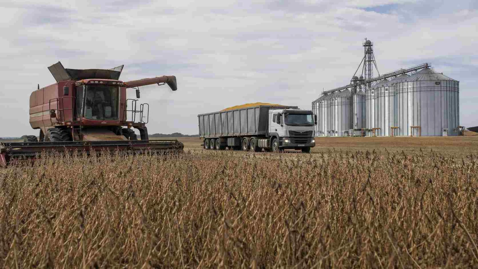 La soja alcanzó el 84,6% de cosecha y el trigo 2026/27 arranca con siembra en máximos históricos