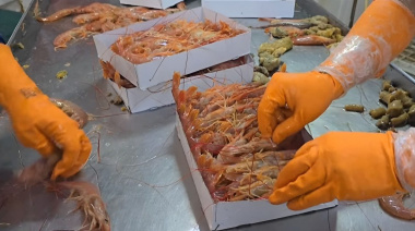 Conarpesa propone elevar al 50% la producción de colas de langostino a bordo