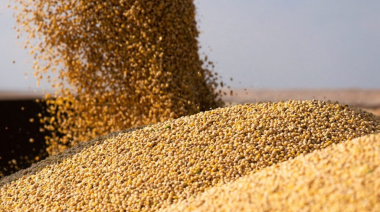El agro exportó un récord de 50,4 millones de toneladas en los primeros cinco meses del año