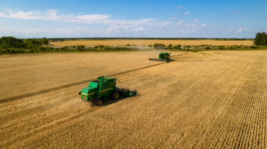 Santa Fe: El motor agroindustrial del país