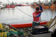 Molestia en el sector pesquero por quedar afuera de la baja de retenciones