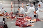 Récord histórico: Las exportaciones de carne bovina crecieron 11 % en 2024.