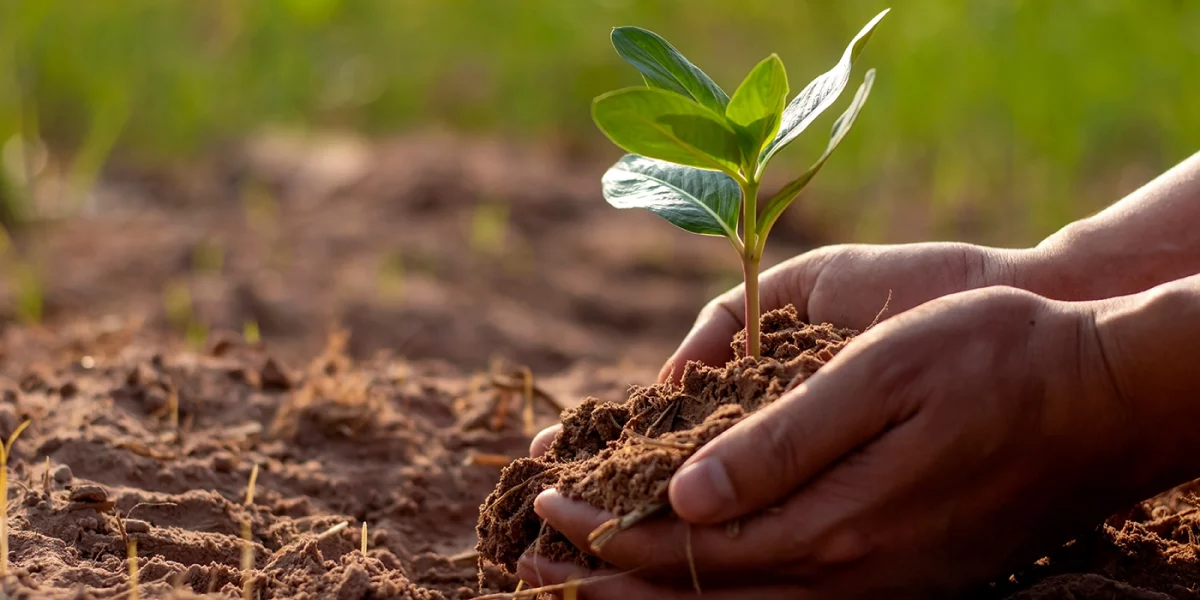 Universidad argentina crea la primera guía en español para medir la huella ambiental