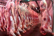 El mercado de carne vacuna se redefine ante cambios en la demanda global