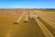 El agro argentino proyecta un ingreso de US$ 30.800 millones por exportaciones en 2025