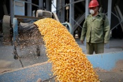 Fufeng Group planea invertir USD 400 millones en Santa Fe para procesar maíz