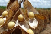 CIARA considera injustificada la calificación de riesgo ambiental asignada a Argentina por la Comisión Europea