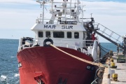 Solo dos buques se postularon para la prospección de langostino