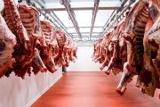 Argentina pierde terreno en el comercio regional de carne vacuna