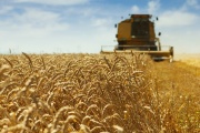 Monitor Agroindustrial: Recuperación en divisas y exportaciones clave para el sector