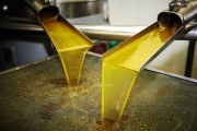 Nueva baja de aranceles mejora condiciones para la exportación de aceites argentinos hacia la India
