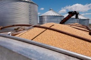 El sector agroindustrial argentino exportó US$ 4.301 millones en mayo, con una caída interanual del 8,1%