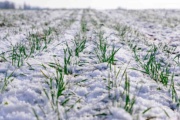 Nevadas y descenso hídrico marcan el final de junio en el sudoeste bonaerense