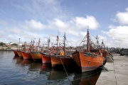 Mesa intersectorial pesquera de Mar del Plata se reúne tras 14 años ante el "derrumbe" de la actividad en el puerto