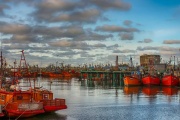 Crecen 34,5% las operaciones de comercio exterior por el Puerto de Mar del Plata en el primer semestre de 2025