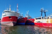 La flota langostinera congeladora permanece sin operar por conflicto gremial, afectando la producción y las exportaciones de la industria pesquera