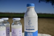Descubren un "súper alimento" que crece en el mundo: Equslac, única en Argentina que lo industrializa, busca expandirse y ganar otros mercados