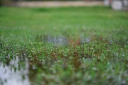 Agua en abundancia: El invierno continuará con lluvias por encima de lo normal en gran parte del país