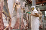 China extiende el plazo de investigación sobre importación de carne vacuna, generando alivio en el Mercosur