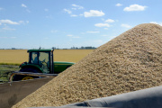 El sector agroindustrial generó el 60% de las divisas que ingresaron al país en el primer semestre
