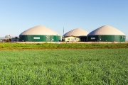 Adecoagro cerró el segundo trimestre con pérdidas tras la caída de rentabilidad