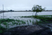De las inundaciones actuales al riesgo de un cambio de patrón: qué pasa con el clima en el campo