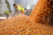 Radiografía de los productores de granos en Argentina: predominio del arrendamiento y la escala mediana