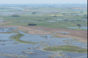 Riesgo agropecuario: la "Tormenta de Santa Rosa" podría agravar los excesos hídricos en Buenos Aires